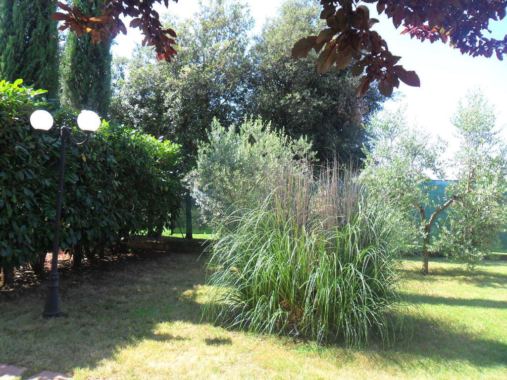 Casale Santa Caterina Aparthotel อเมเลีย ภายนอก รูปภาพ