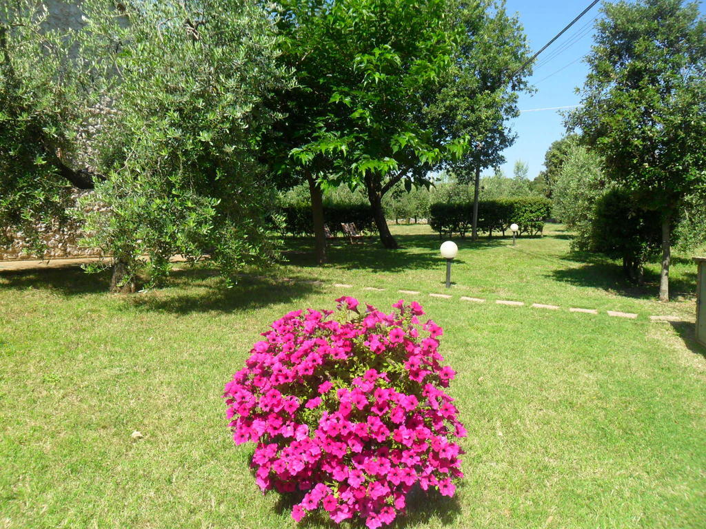 Casale Santa Caterina Aparthotel อเมเลีย ภายนอก รูปภาพ