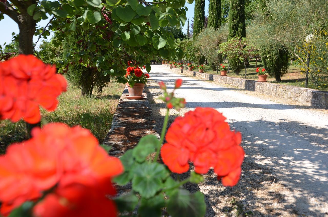 Casale Santa Caterina Aparthotel อเมเลีย ภายนอก รูปภาพ
